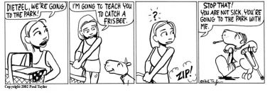 04/08/2002