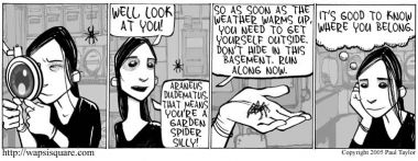 02/07/2005