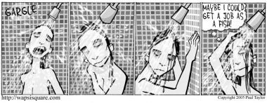 02/11/2005