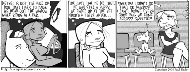 Junebugcrash