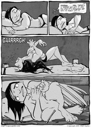 Spider Dreams