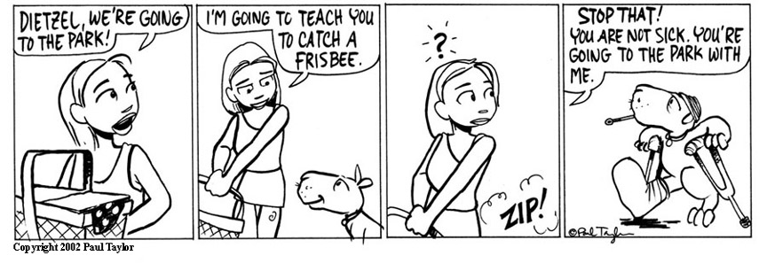 04/08/2002