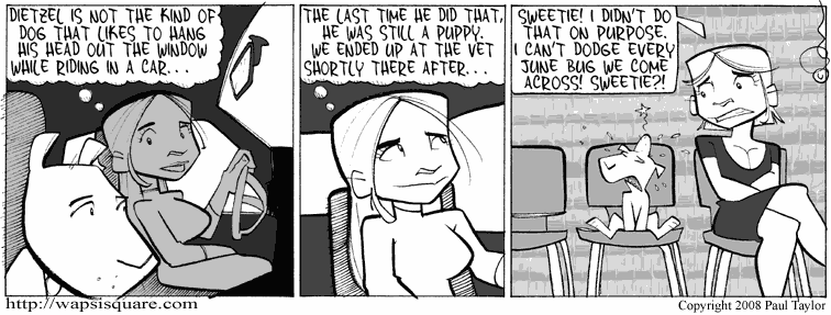 Junebugcrash