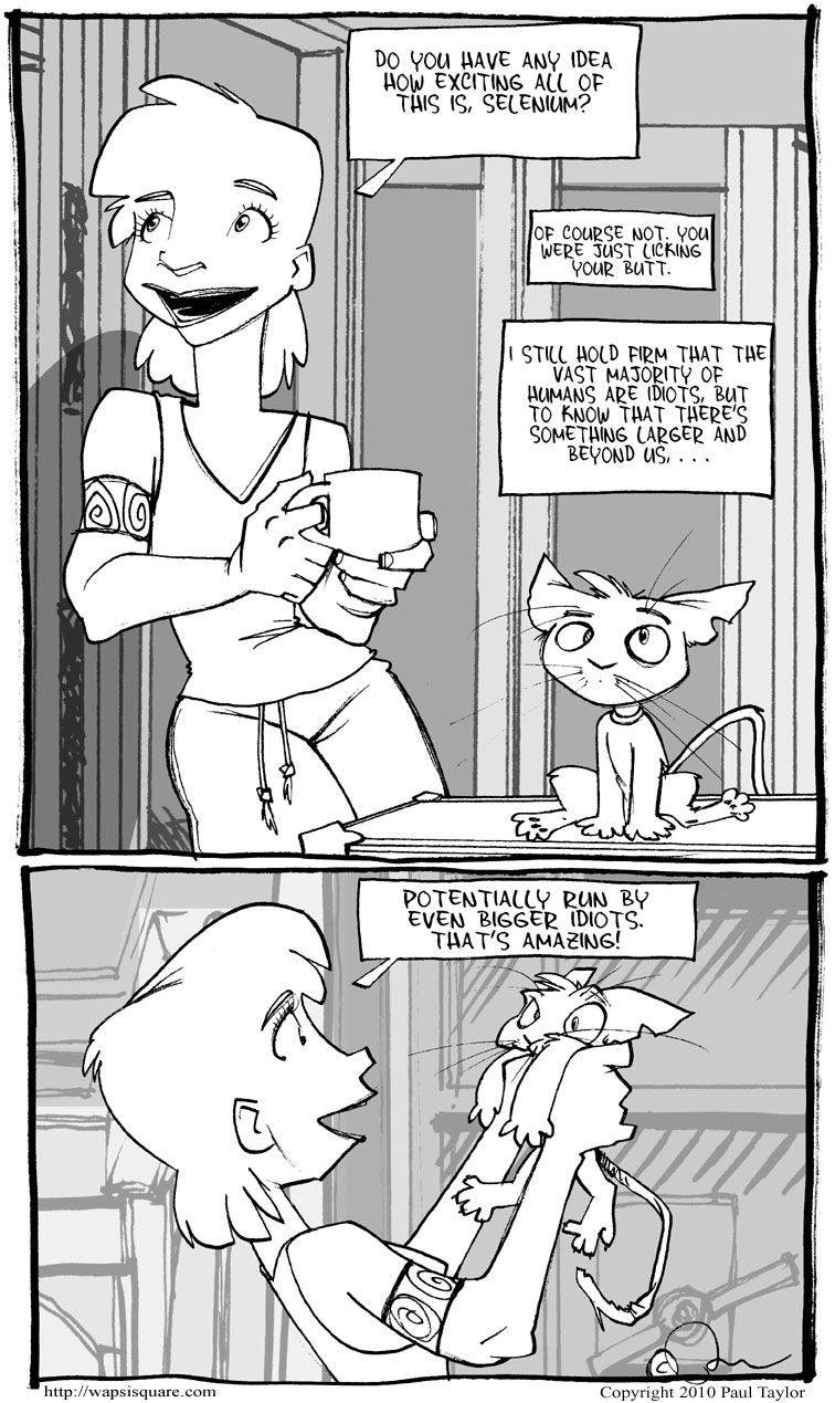 Bigger Idiots