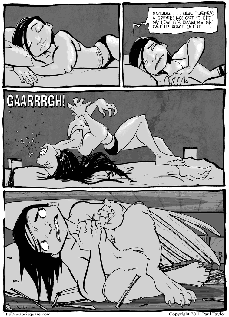 Spider Dreams